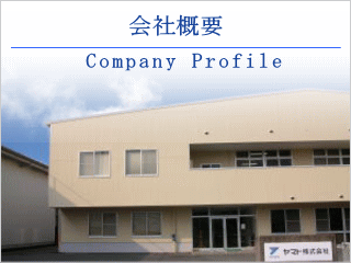Company Profile