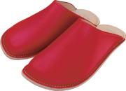 yms201_yls211_red